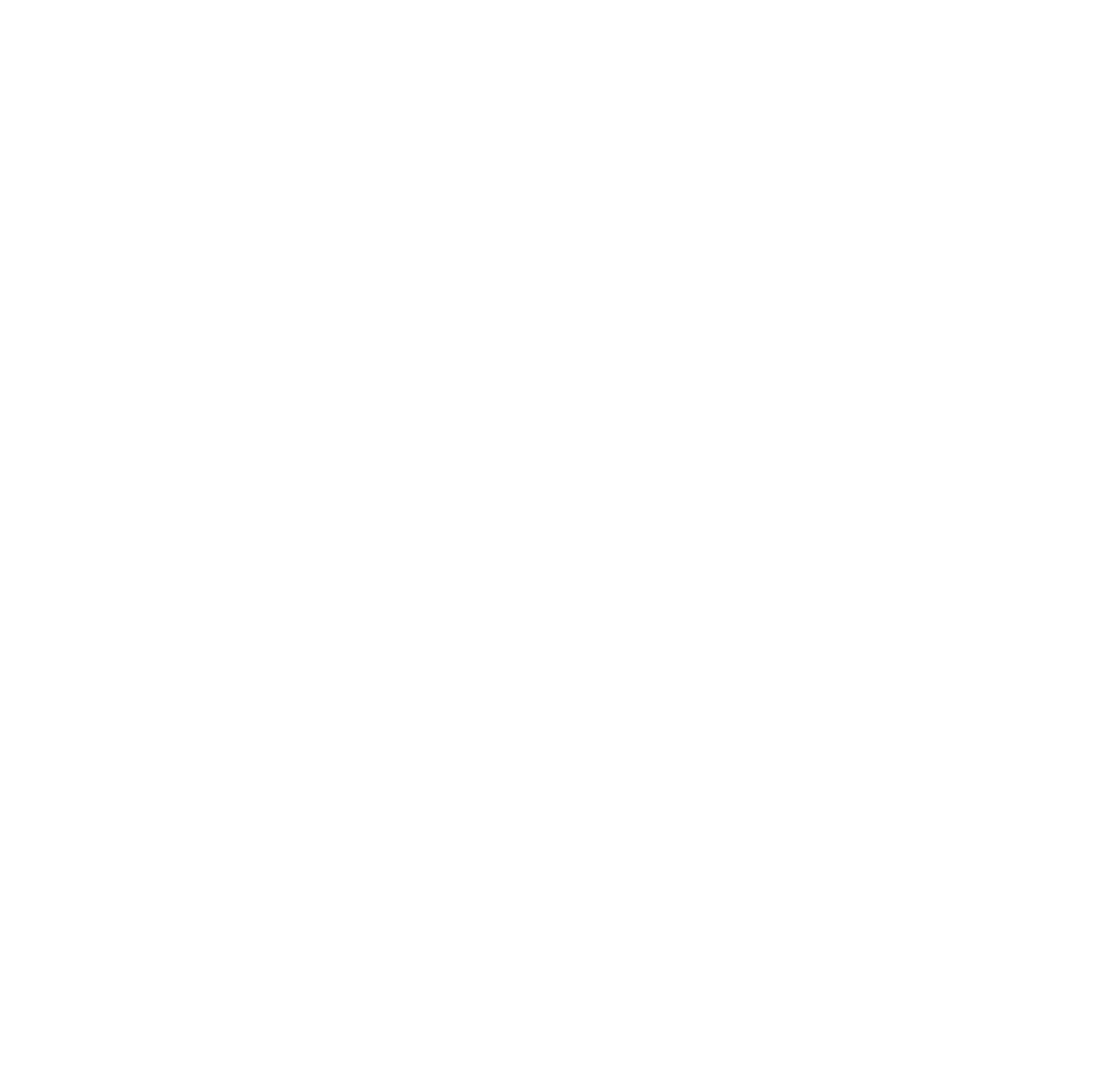 The John A. James Foundation